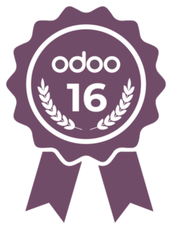 Odoo 16 Certification
